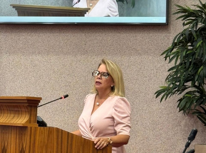 Parlamentario Wever-Croes a manda e participacion y mensahe den Internet Consultatie