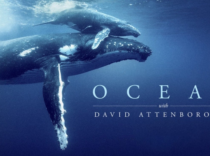 Diasabra anochi por bay mira pelicula na Parke Arikok