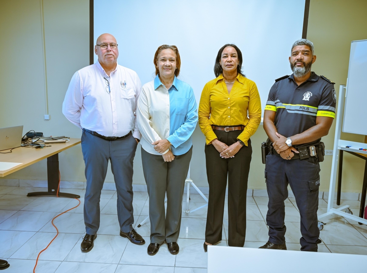 Polis a haya curso basico di analisa informacion