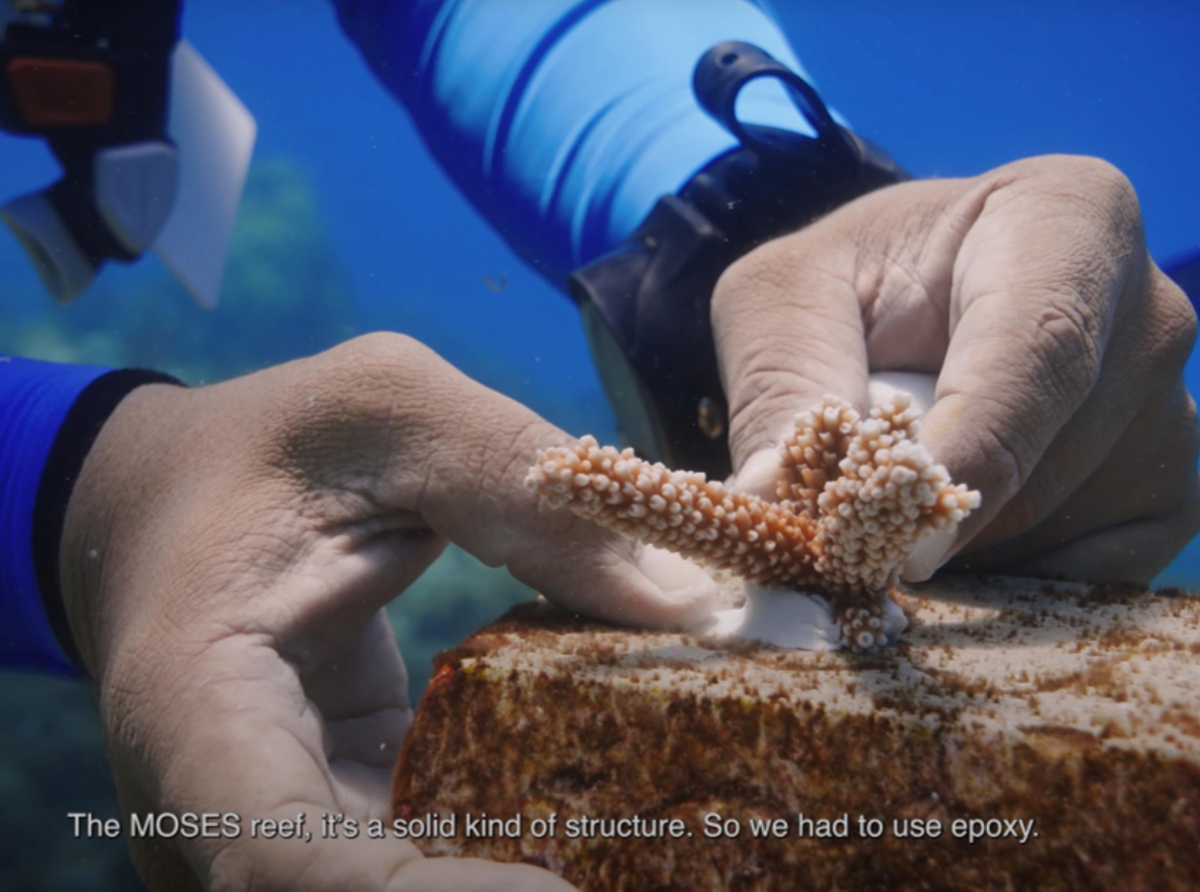 “Turning the Tide” ta estrena na Hulanda pa inspira colaboracion