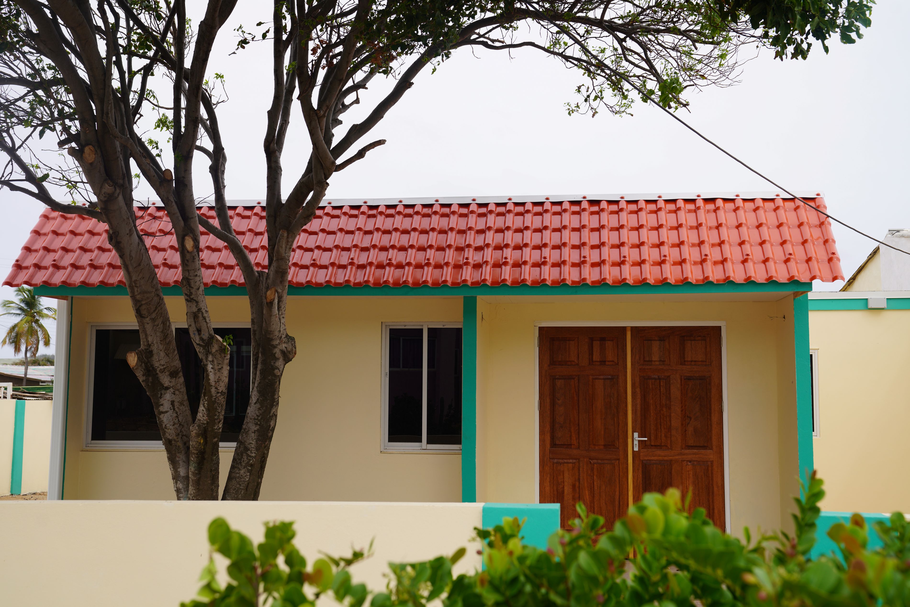 Elijah Wester: Cu Porta pa Harmonia musica ta yega mas cerca di nos hubentud y barionan