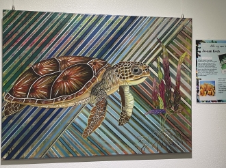 Exposicion 'Nos Laman y Turtuganan' na UNOCA