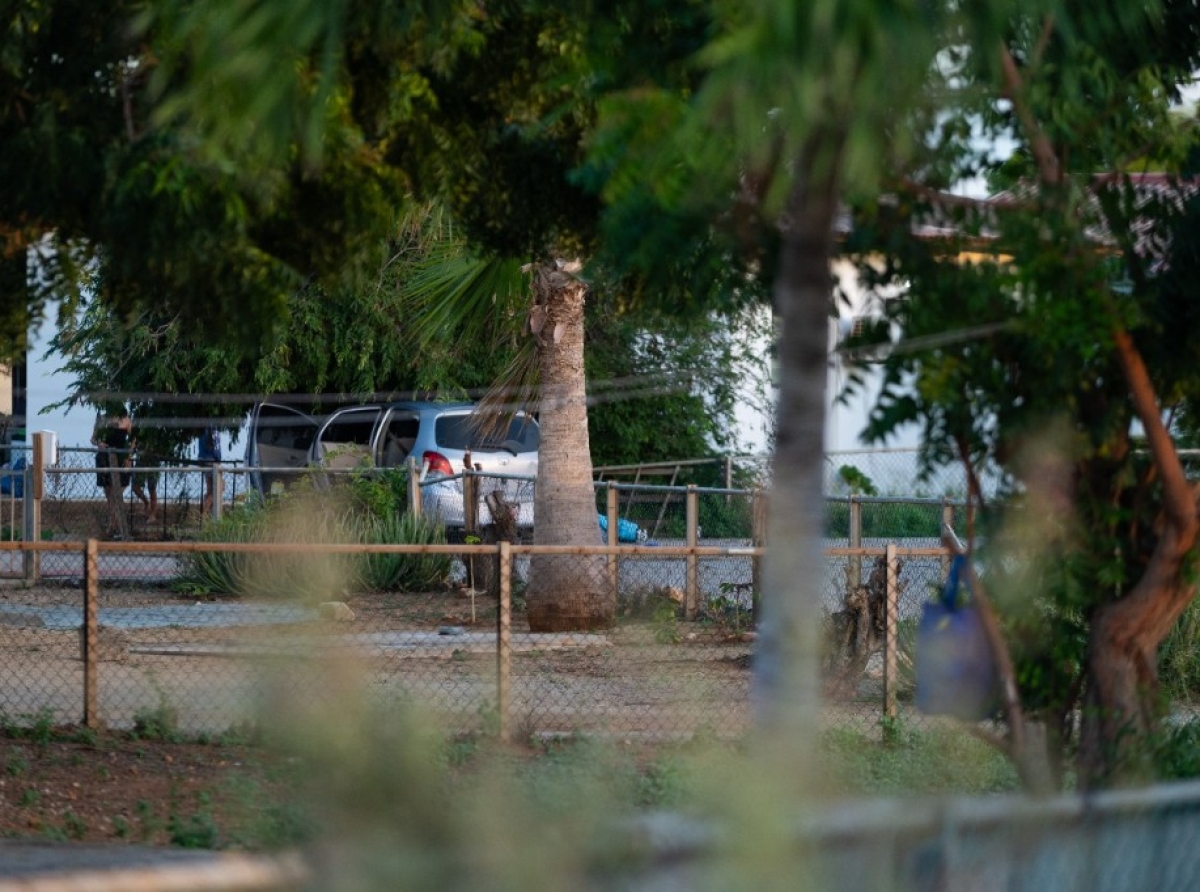 Prome audiencia den e investigacion penal Caret lo tuma lugar diabierna 7 di november