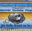 Fundacion Snoop Doggy ta lansa nan “Sleepover Project” pa siña muchanan con pa cuida nan mascota