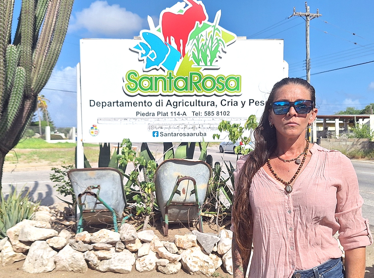 No ta di acuerdo cu e sistema di ‘greenhouse’ cu Gobierno ta planea pa introduci