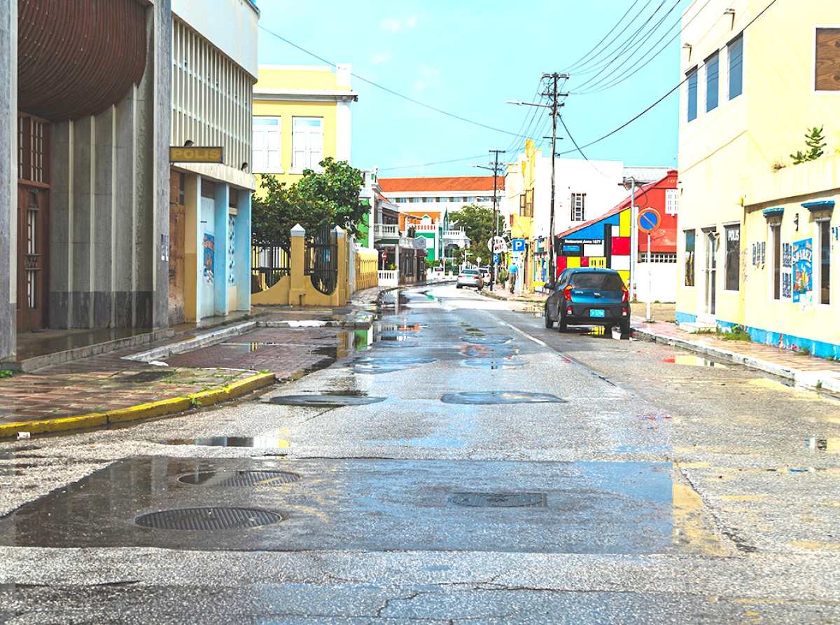 E destaho publico pa scohe un arkitecto pa renoba Wilhelminastraat y su vecindario a cera