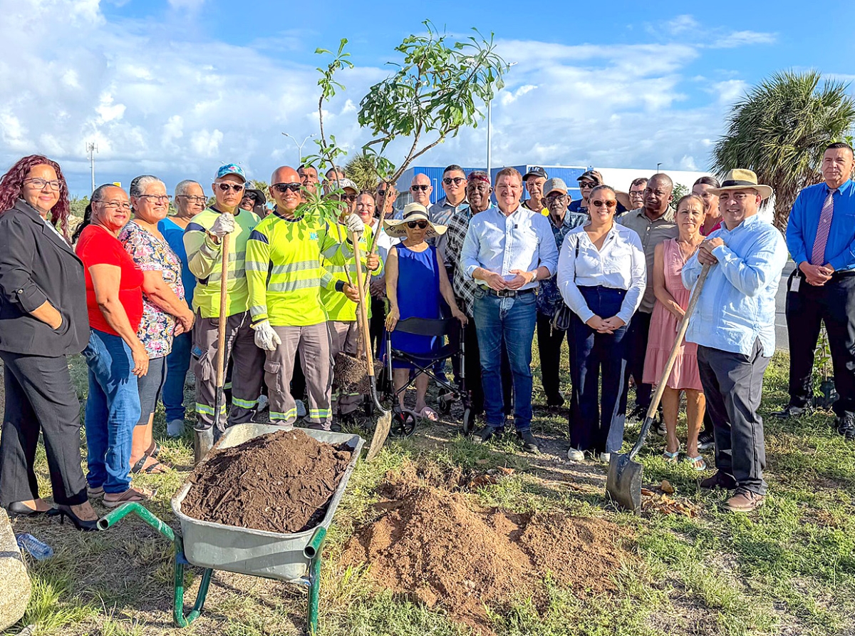 Proyecto piloto pa espacio berde urbano na Maracastraat
