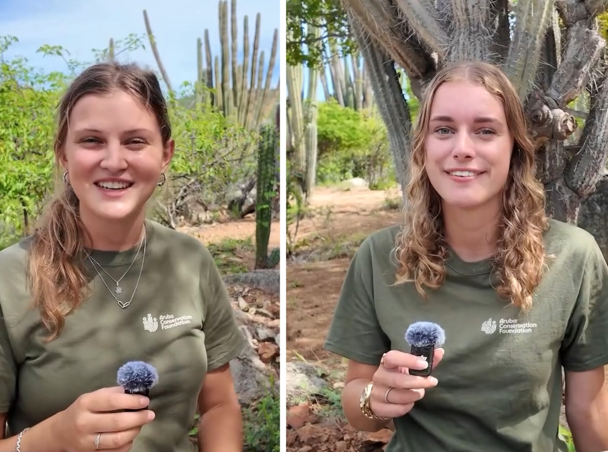 Dos studiante a investiga loke bishitantenan ta laga atras como desperdicio den Parke
