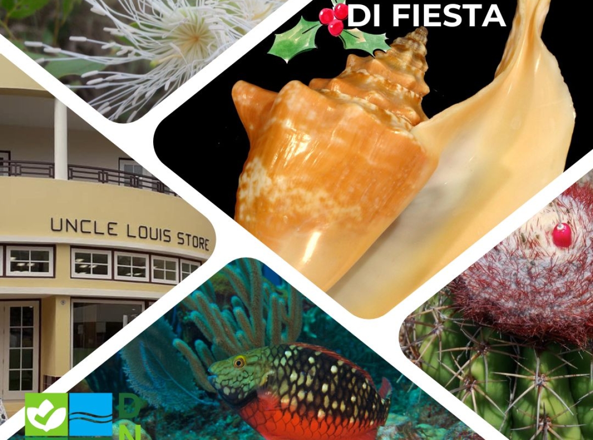 Directie Natuur en Milieu lo ta cera pa e temporada di dianan di fiesta