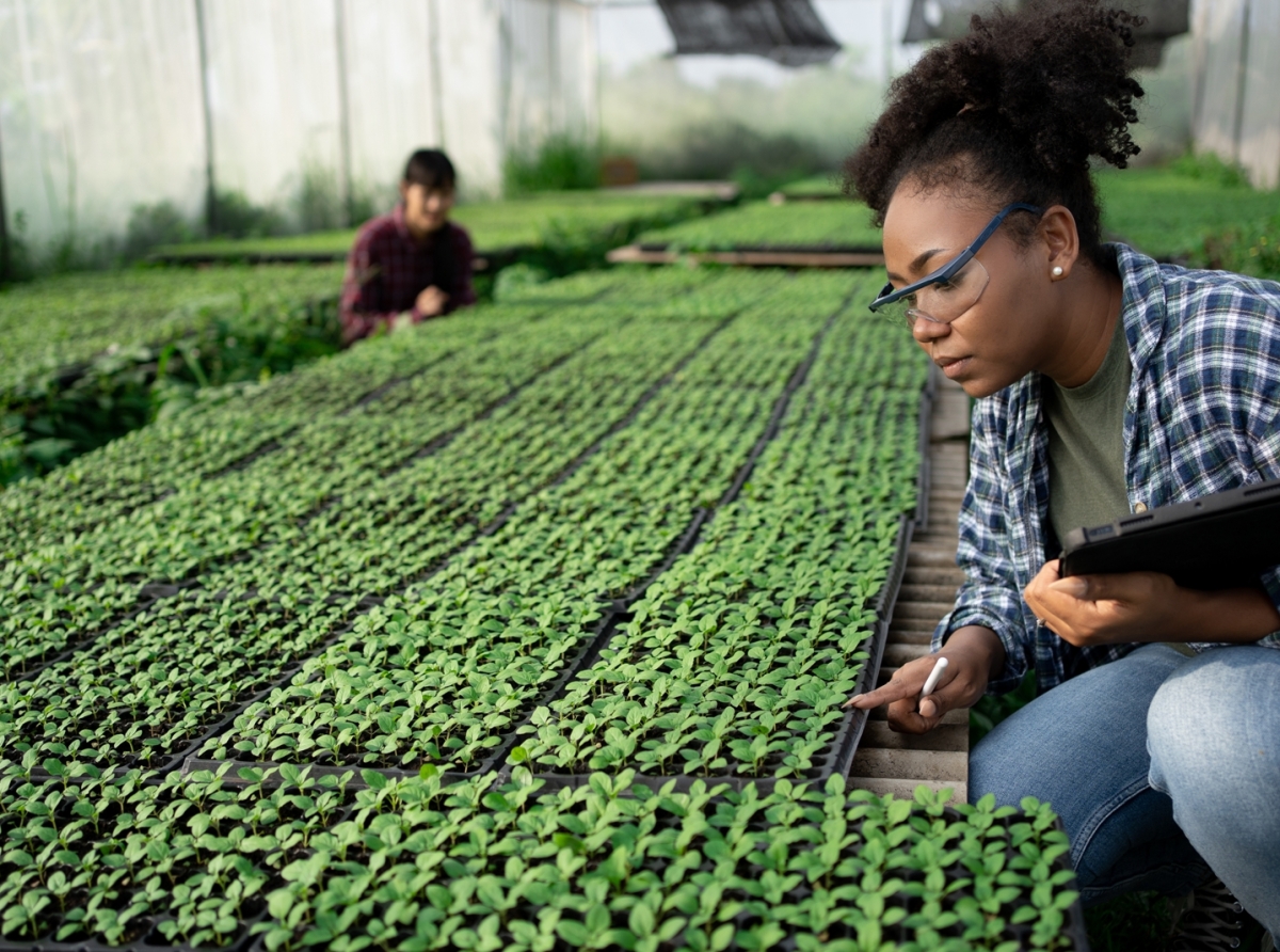 Evaluacion di proposicion pa beca di doctorado den Caribe a cuminsa