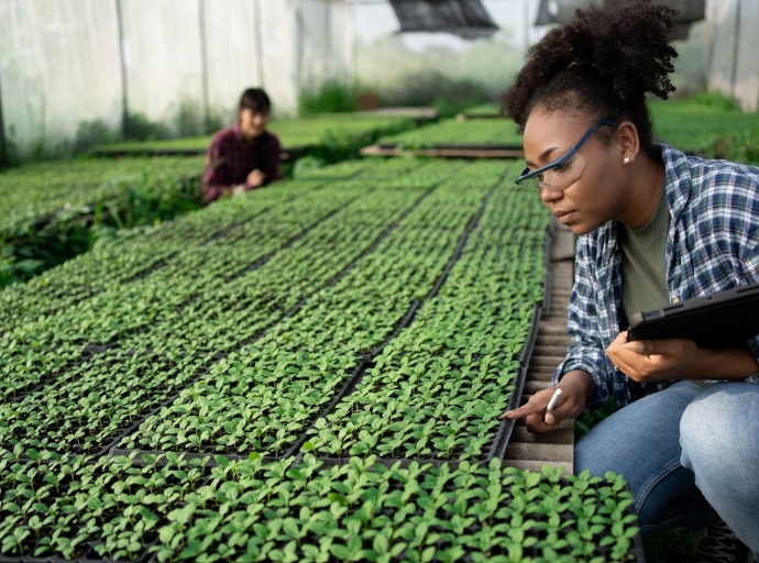 Evaluacion di proposicion pa beca di doctorado den Caribe a cuminsa