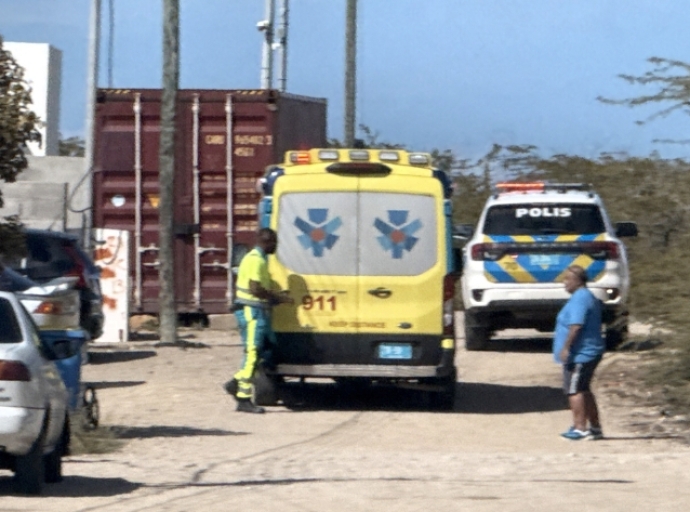 Mucha di 5 aña alcansa pa auto na Wolfstraat