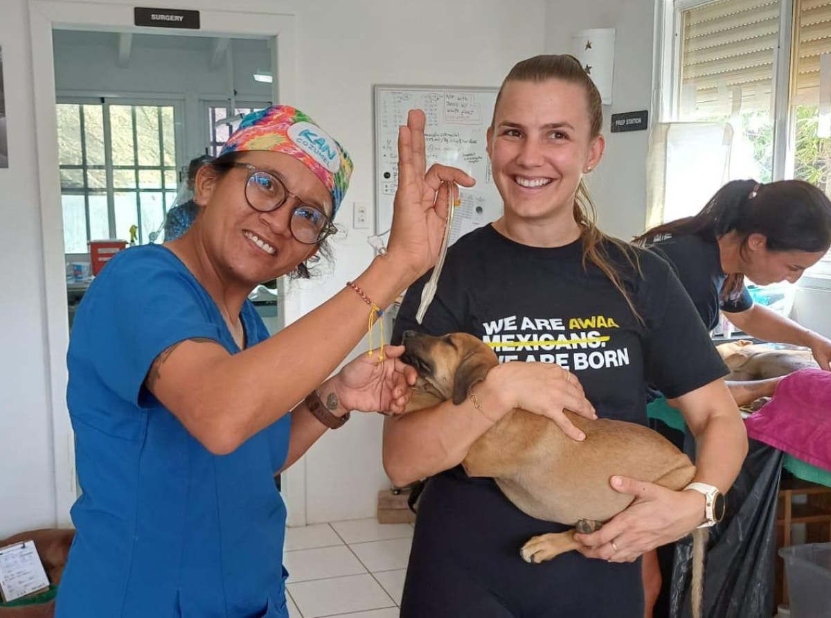 Programa di sterilisacion masal ta evita 49 mil animal di caya den un aña 