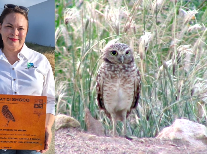 Ley ta proteha shoco y tin boet pa esnan cu actua contra e siguridad di shoco y su neishi