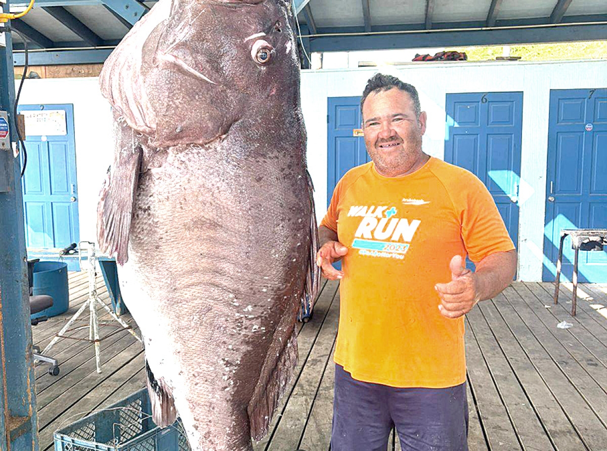 Karel a captura un Djampou di 145 kilo