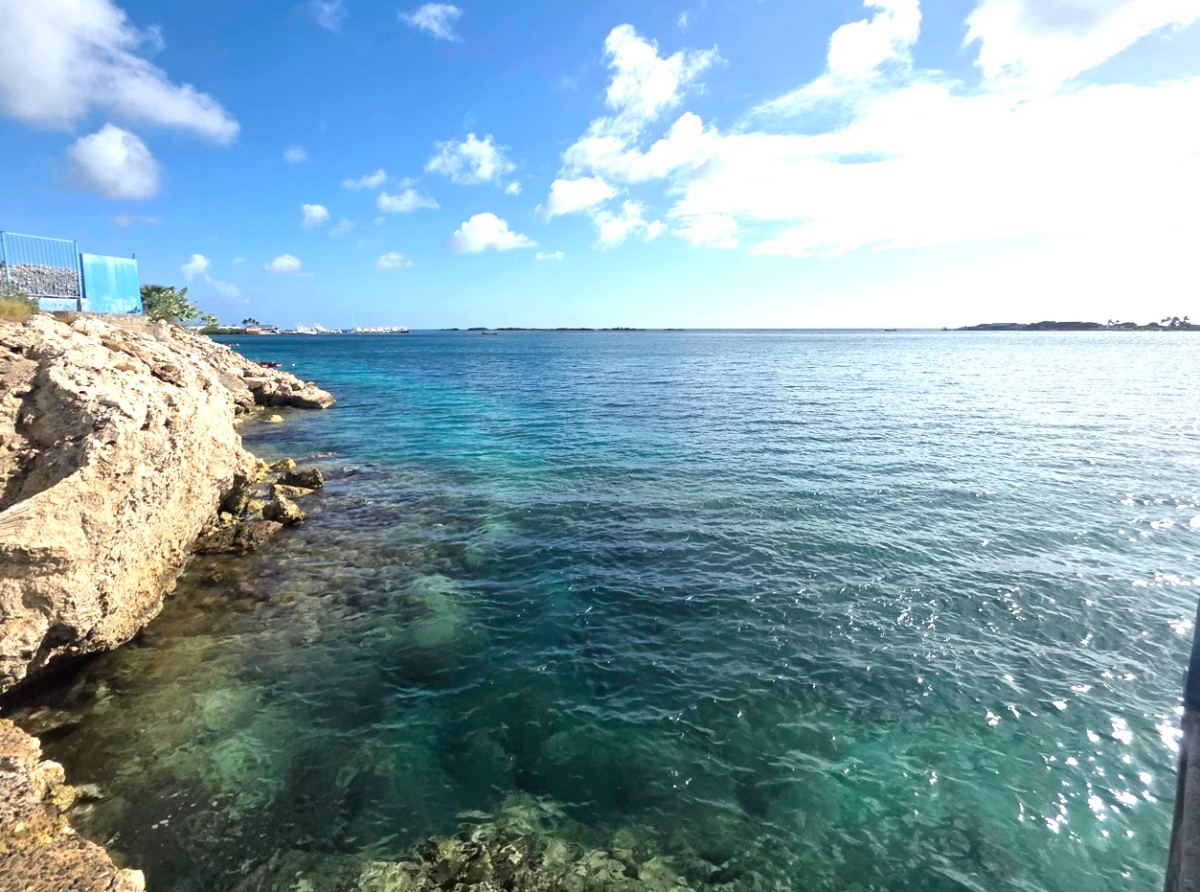 Trabao pa proyecto nobo di planta di awa a cuminza na WEB Aruba NV