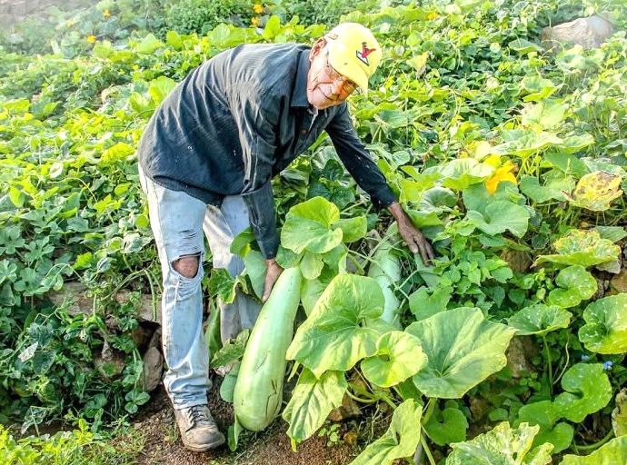 Interes ta keda enorme pa Mercado Santa Rosa