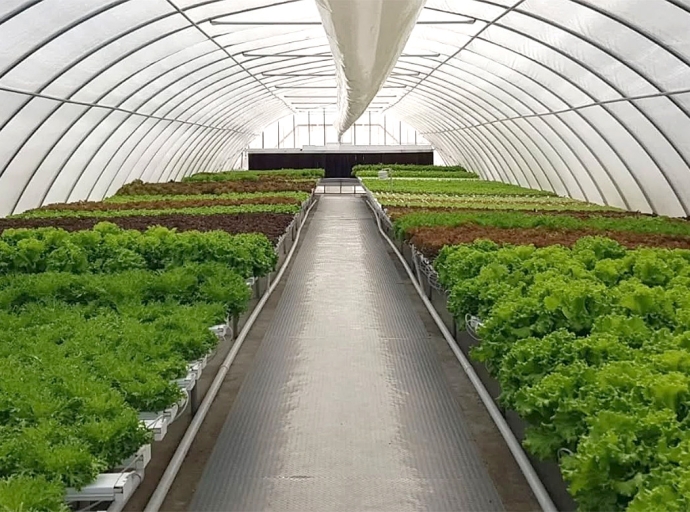 A keda demostra cu agricultura local ta un pilar pa resiliencia di Aruba