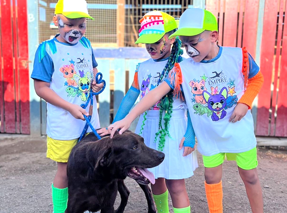 Stimami Sterilisami a sterilisa mas cu 46 mil cacho y pushi