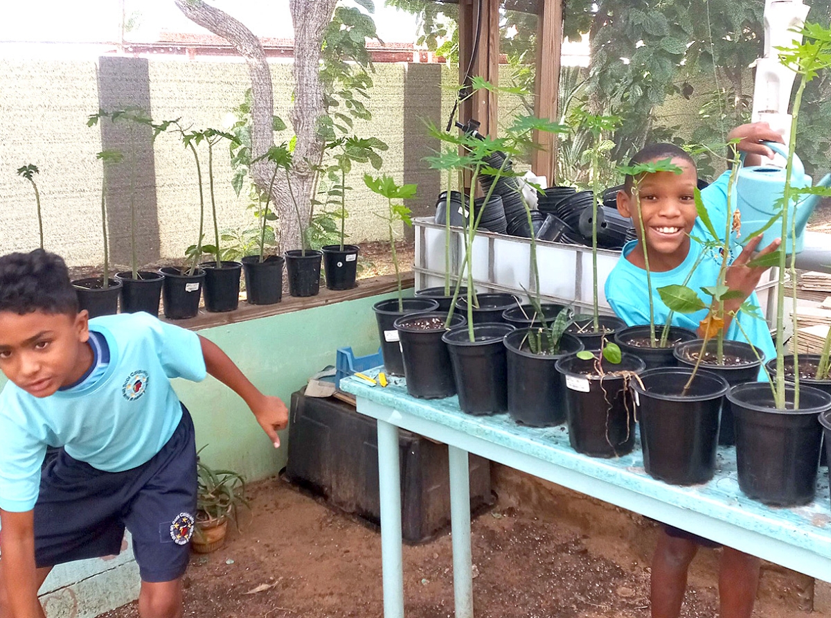 Scol Caiquetio ta orguyoso di nan Hofi yen mata
