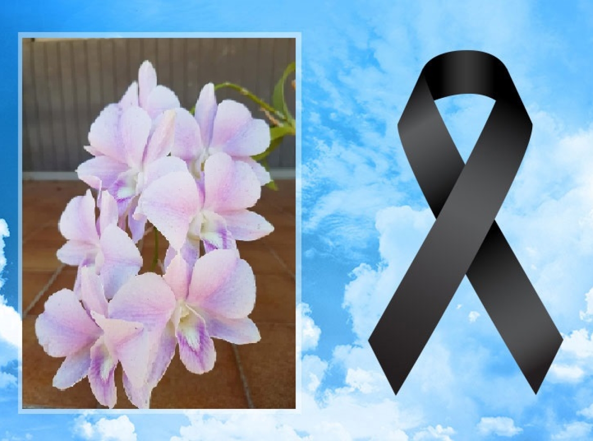 Karen Sue Cargile-Coronel