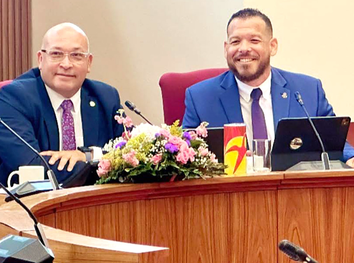 Ley nobo pa castiga iresponsabilidad y proteha bida riba caminda