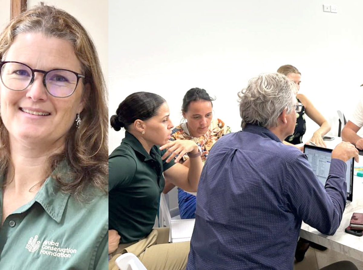    Mescos cu tin ROP y ROPV den tera, mester bin algo similar den lama   