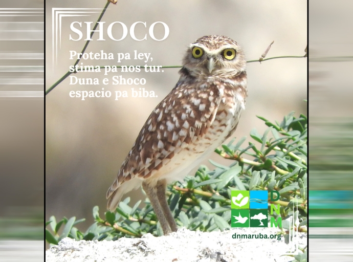 Data di comunidad aportando cu informacion clave riba sobrevivencia di Shoco