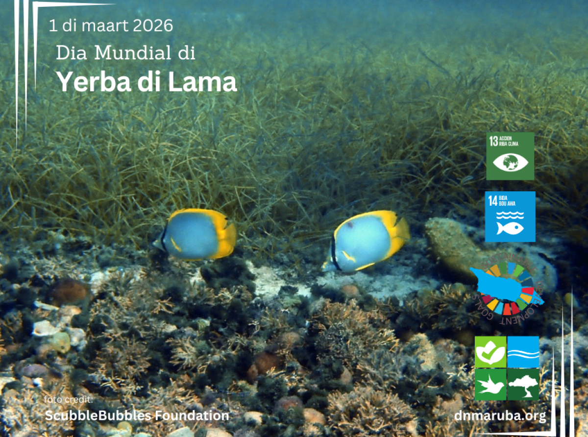 Trahando keto bay pa proteha un herencia marino esencial pa e isla