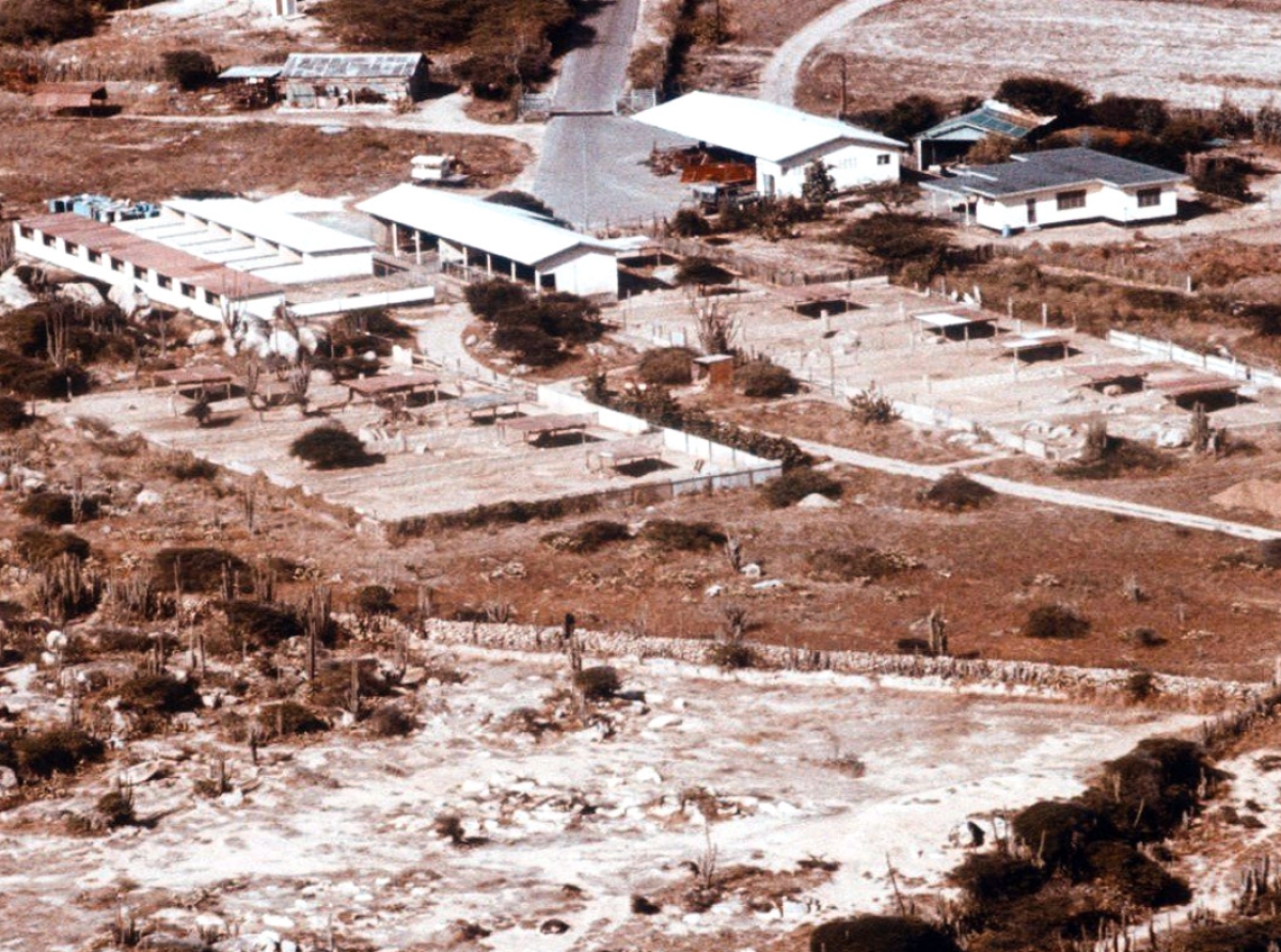 Departamento di Agricultura, Cria y Pesca lo celebra 50 aña di existencia