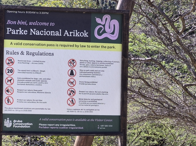 Proyecto di borchinan di direccion ta tumando lugar paden y pafo den Parke Arikok