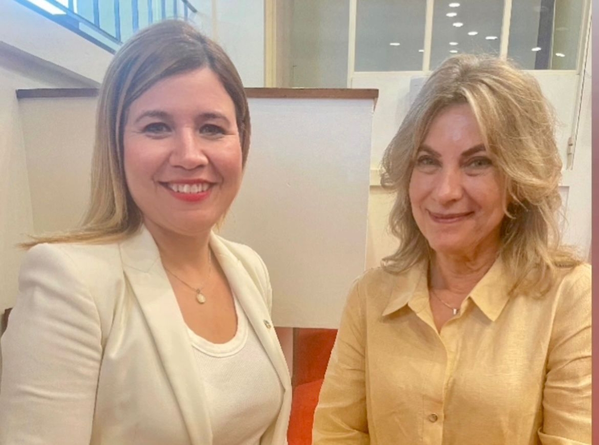 Minister plenipotenciario ta e bos oficial di Aruba na Den Haag