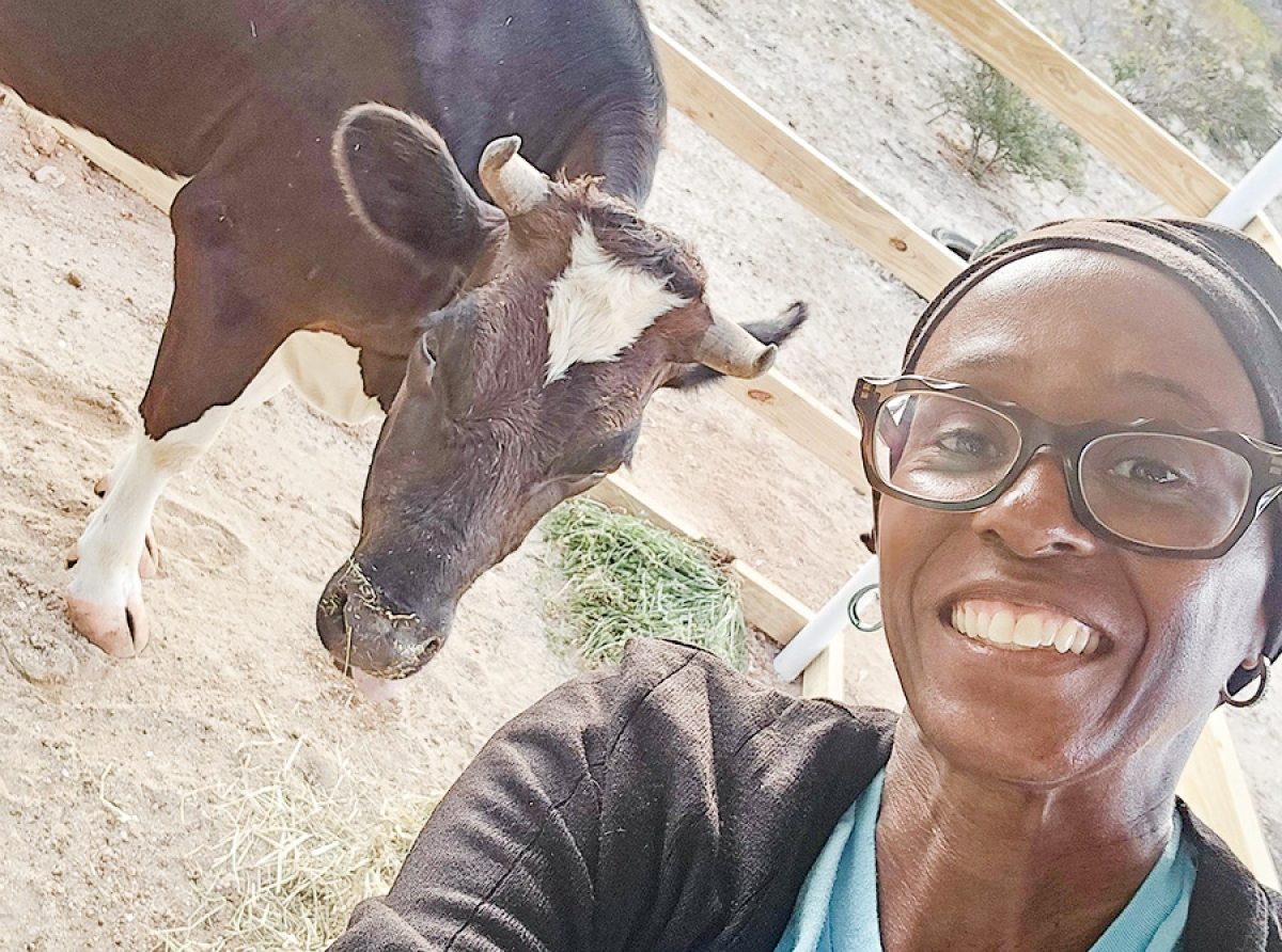 Awor Luna Foundation a logra rescata un baca tambe