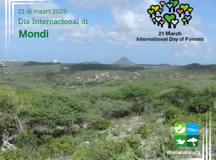 Observacion di Dia Internacional di Mondi 2026