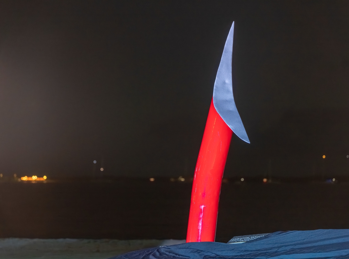 Inicio di estudio exploratorio riba desaparicion di piscadornan pa fortalece siguridad na lama