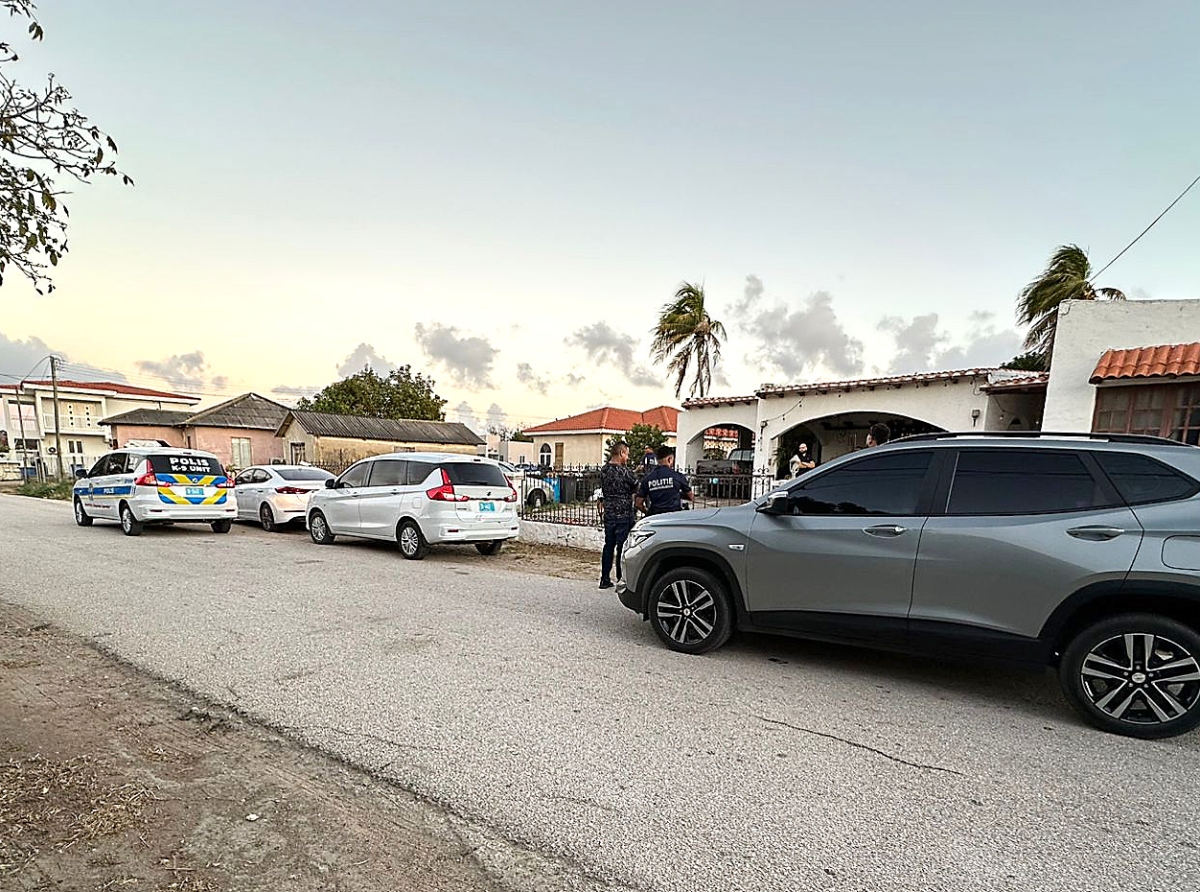 Plantacion grandi di Marihuana a wordo destrui na un cas na Savaneta