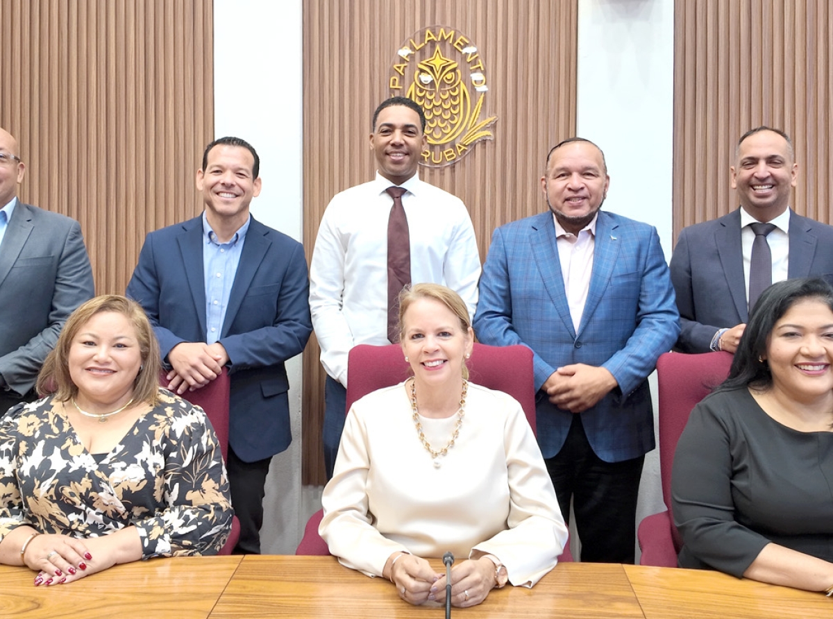 Gobierno mester recobra tur placa y terenonan cu a wordo horta den Caso Avestruz