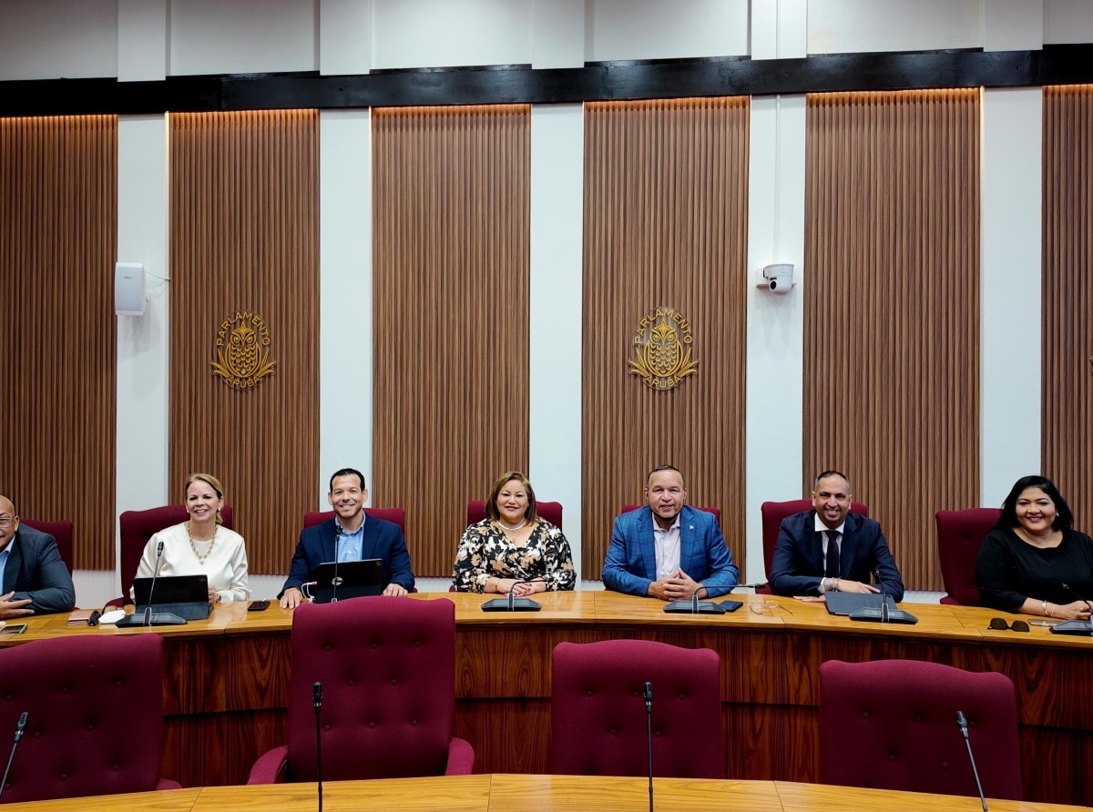 Confusion ta sigui reina den Gobierno AVP-Futuro