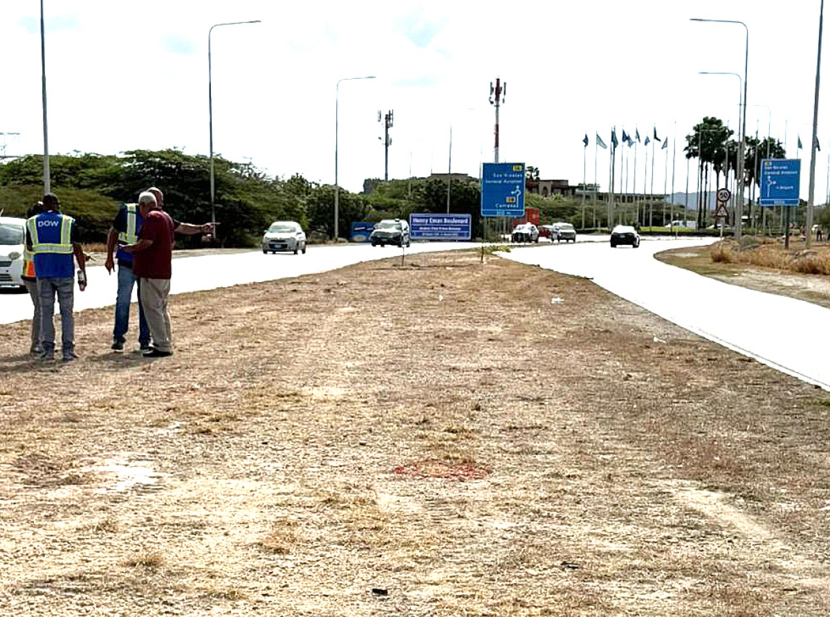 Proyecto di reforestacion na berm di Henny Eman Boulevard ta avansa   