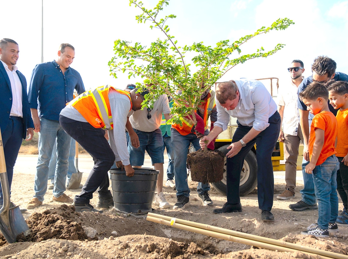 Boulevard a haya 101 mata nativo pa embeyece y fortalece biodiversidad