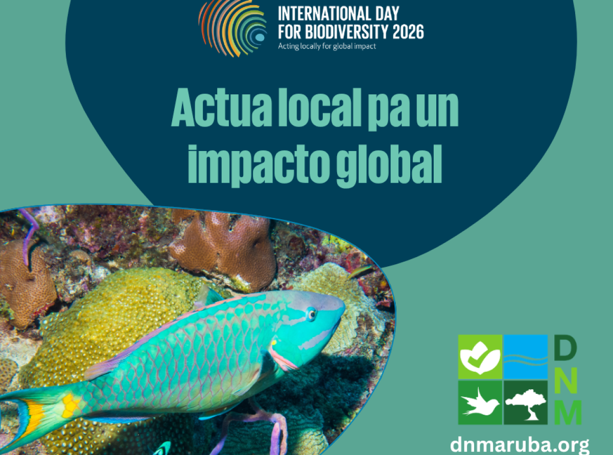 DNM ta lansa seccion flora y fauna database riba nan website di tur especie proteha na Aruba