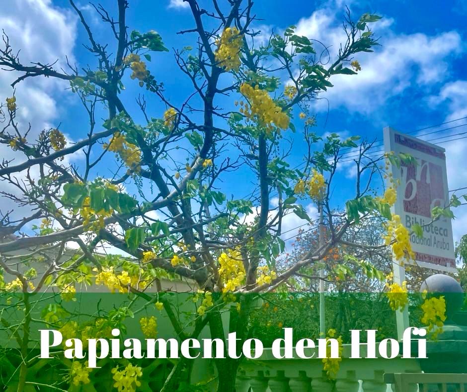 Papiamento den Hofi: Un anochi di cultura y celebracion di nos idioma 