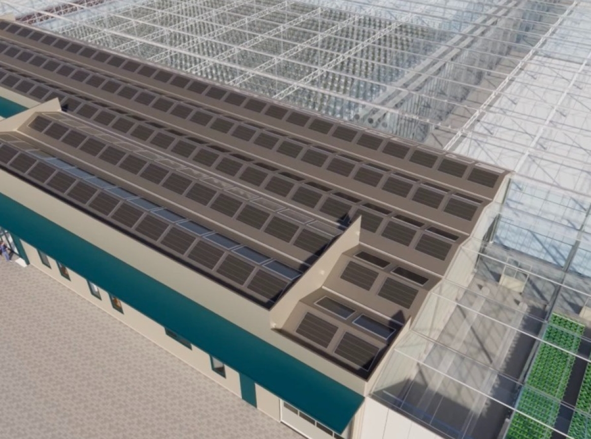 Expertonan internacional a presenta diseño tecnico y business di Agri-Innovation Park na Parlamento