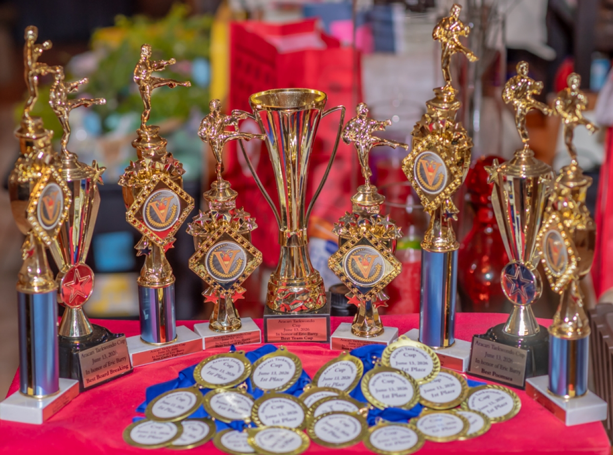 Brazil Taekwondo Stichting ta cla pa Aracari Cup