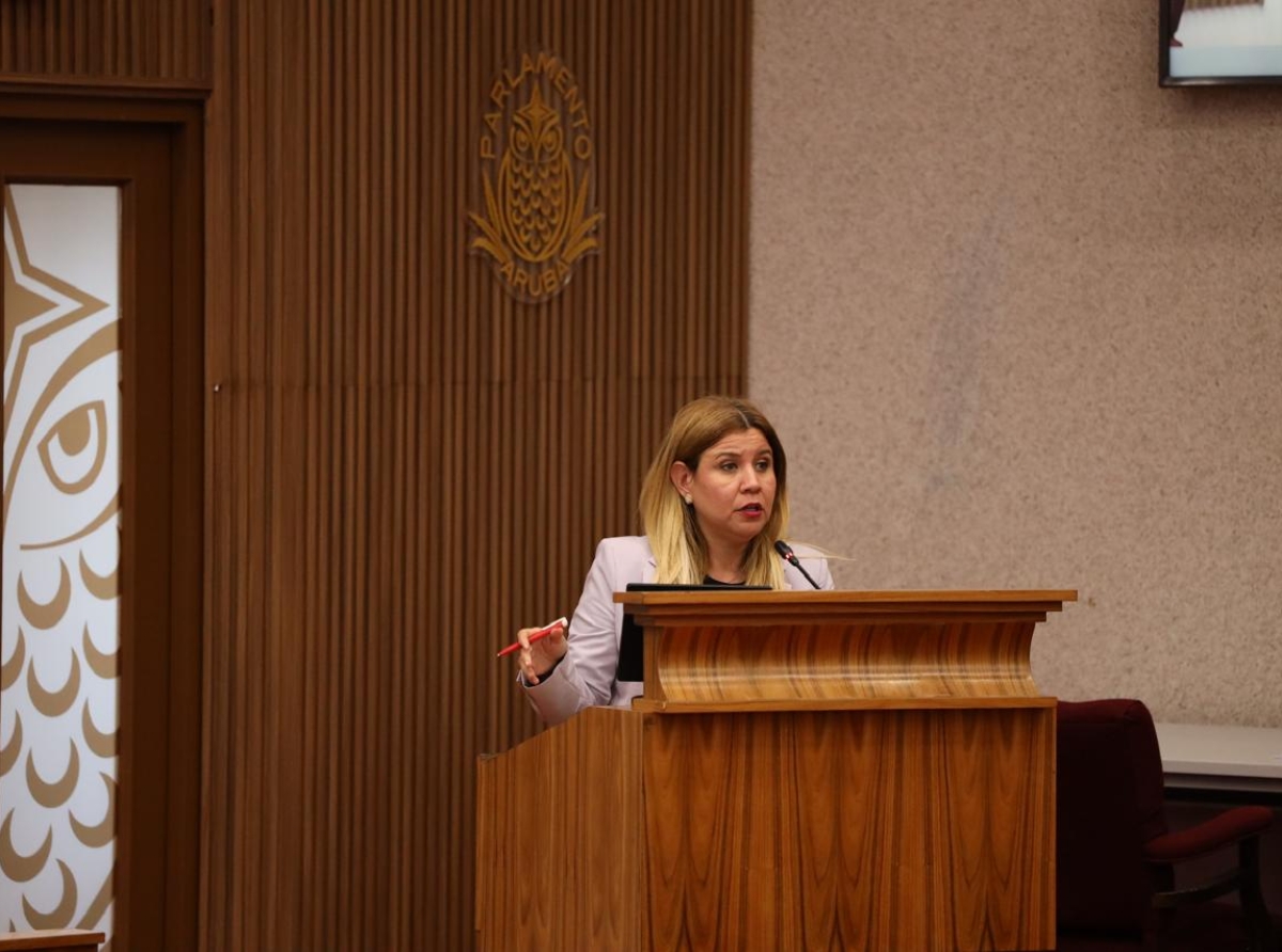 Fraccion di AVP no lo participa na sesion organisa pa PPA tocante HOFA