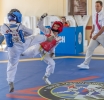 Rigo Arrindell, Juan Hereira y Jeroan Nicholson a sali Best Fighter den Aracari Cup