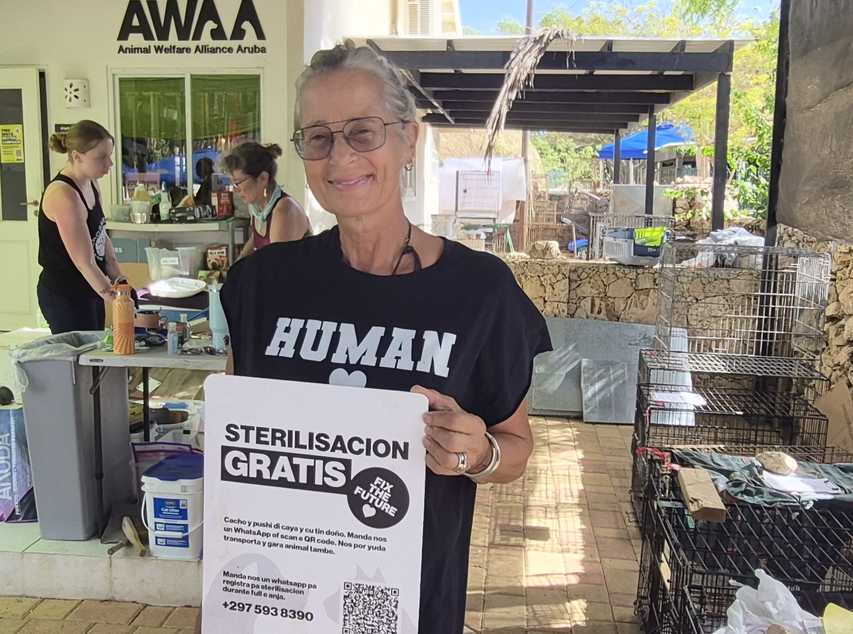 Cada sterilisacion ta reduci sufrimento, controla sobrepoblacion y crea un Aruba mas responsabel pa su animalnan