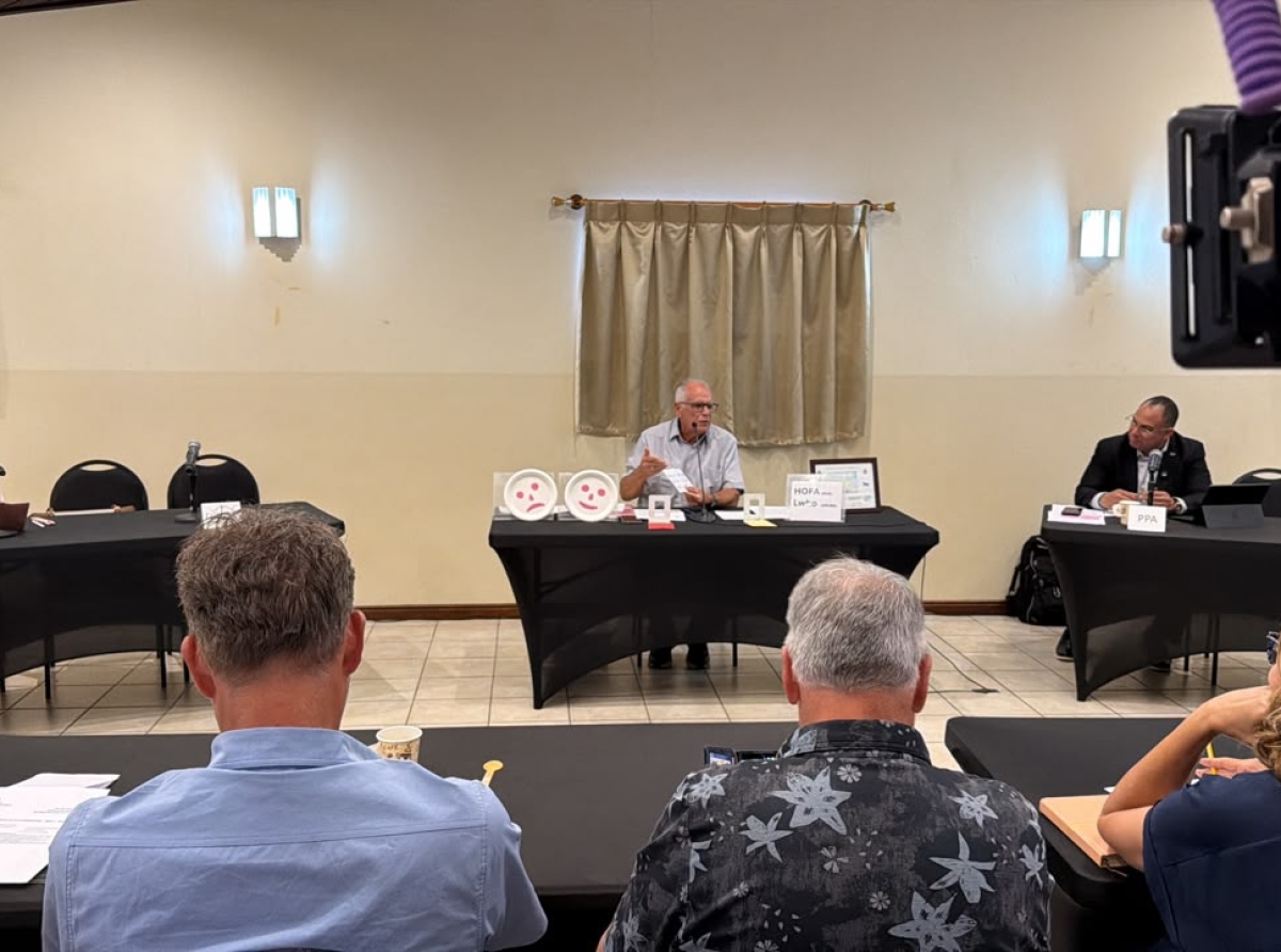 Anochi di informacion riba HOFA a demostra cu Aruba no kier decision den scuridad of manipula