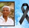 Sylvie J. Flanders – de Freitas