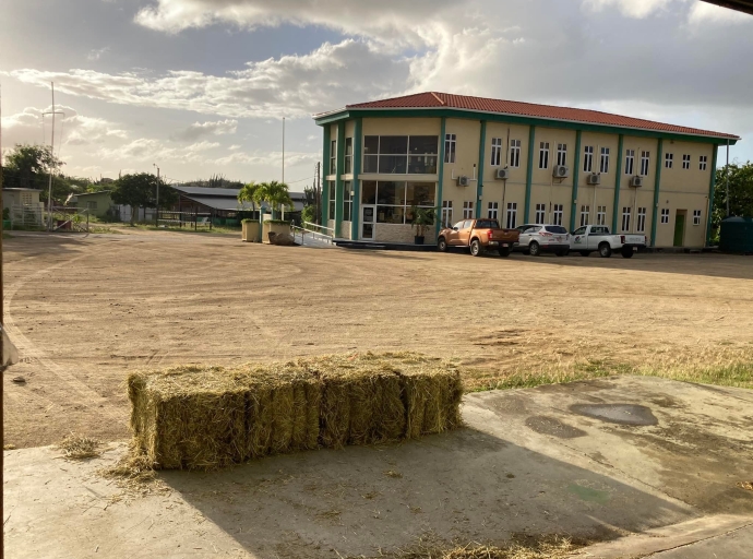 A inicia destaho publico pa yuda Santa Rosa, agricultor y criado di bestia